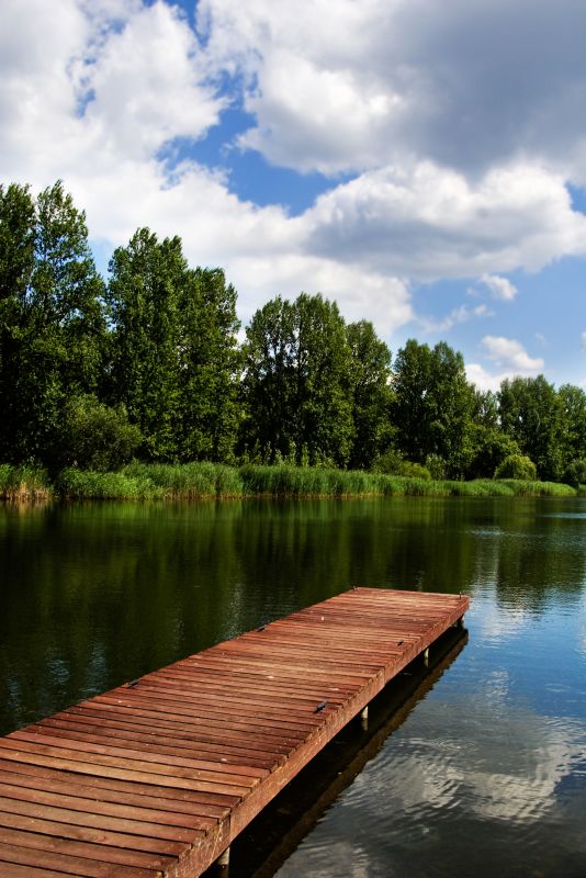 Pond Dock Installation in Alpharetta, GA
